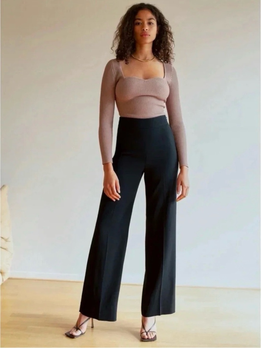 Aritzia Babaton Lincoln High-Waist Wide Leg Pants in Black